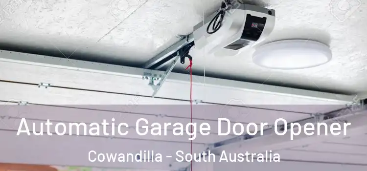Automatic Garage Door Opener Cowandilla - South Australia