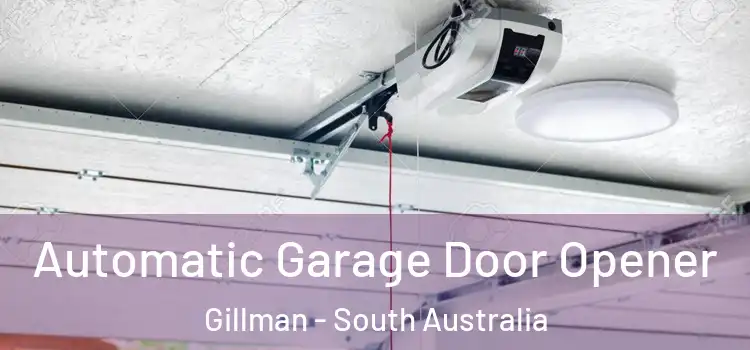 Automatic Garage Door Opener Gillman - South Australia