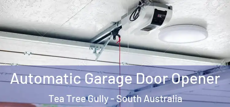 Automatic Garage Door Opener Tea Tree Gully - South Australia