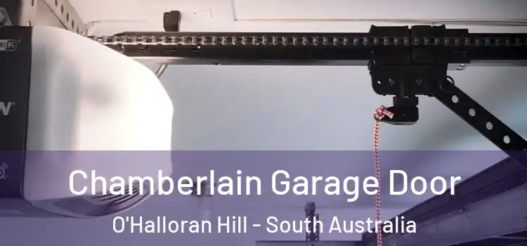 Chamberlain Garage Door O'Halloran Hill - South Australia