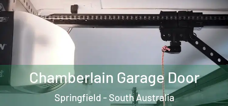 Chamberlain Garage Door Springfield - South Australia