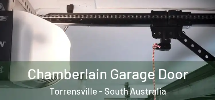 Chamberlain Garage Door Torrensville - South Australia