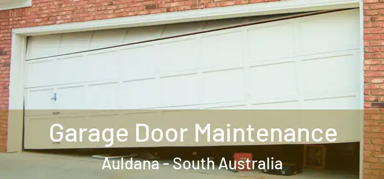 Garage Door Maintenance Auldana - South Australia