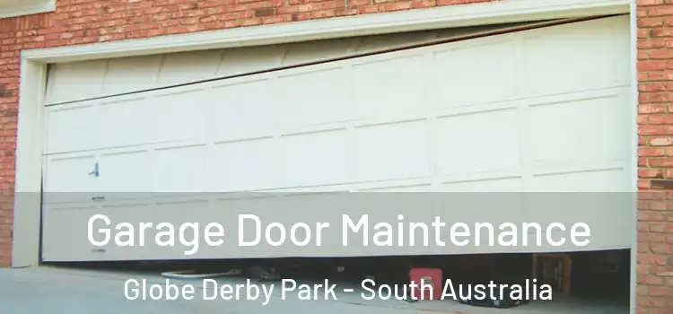 Garage Door Maintenance Globe Derby Park - South Australia