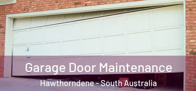 Garage Door Maintenance Hawthorndene - South Australia