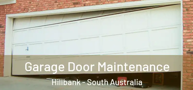 Garage Door Maintenance Hillbank - South Australia