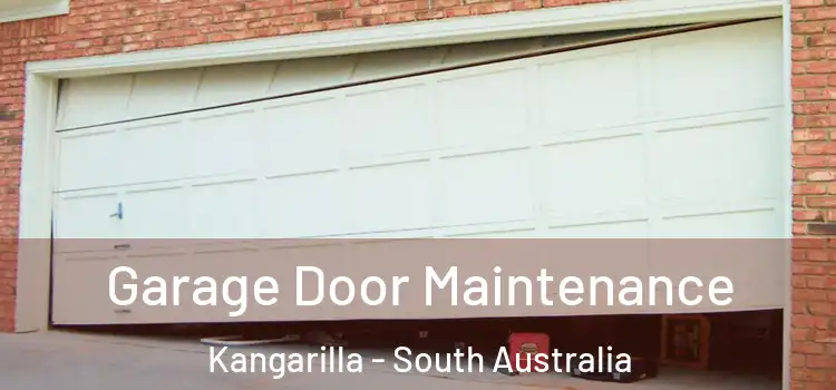 Garage Door Maintenance Kangarilla - South Australia