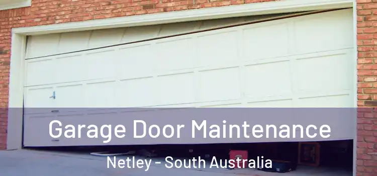 Garage Door Maintenance Netley - South Australia