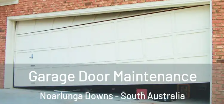 Garage Door Maintenance Noarlunga Downs - South Australia