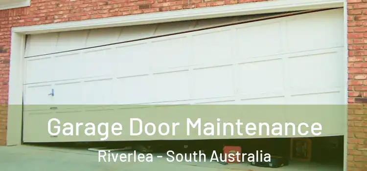Garage Door Maintenance Riverlea - South Australia