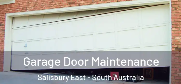 Garage Door Maintenance Salisbury East - South Australia