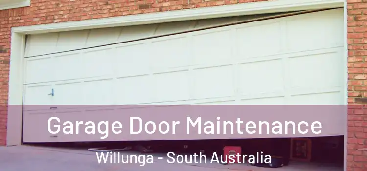 Garage Door Maintenance Willunga - South Australia