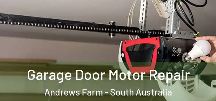 Garage Door Motor Repair Andrews Farm - South Australia
