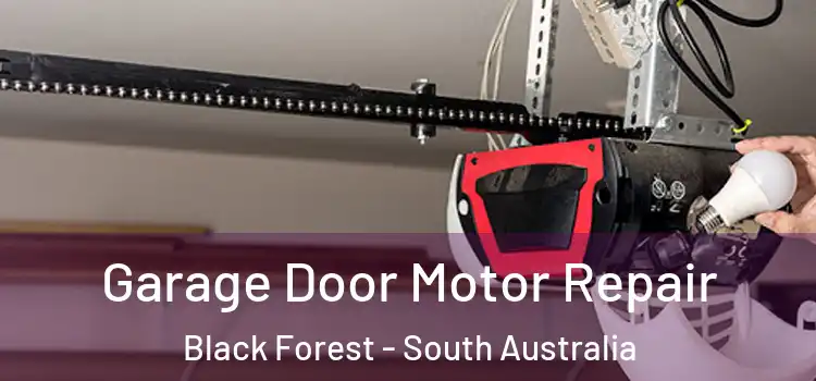 Garage Door Motor Repair Black Forest - South Australia