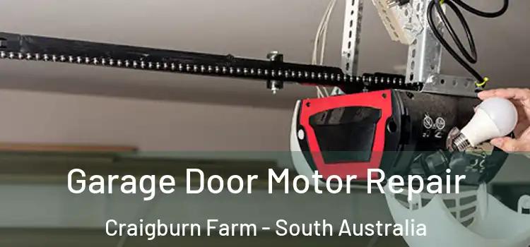 Garage Door Motor Repair Craigburn Farm - South Australia