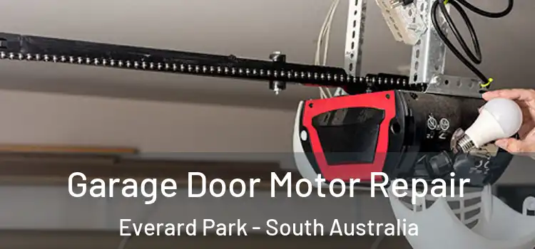 Garage Door Motor Repair Everard Park - South Australia