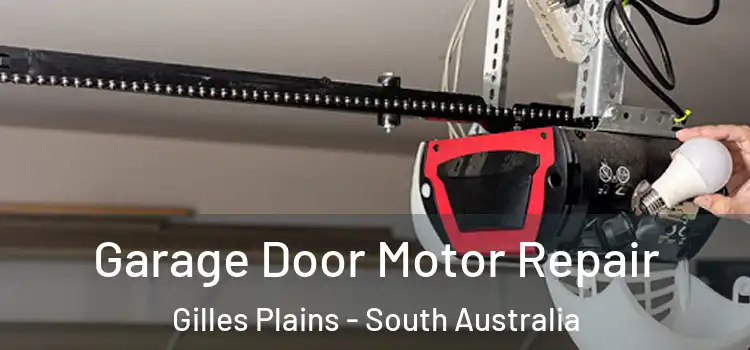 Garage Door Motor Repair Gilles Plains - South Australia