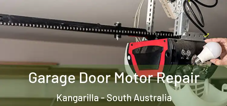 Garage Door Motor Repair Kangarilla - South Australia