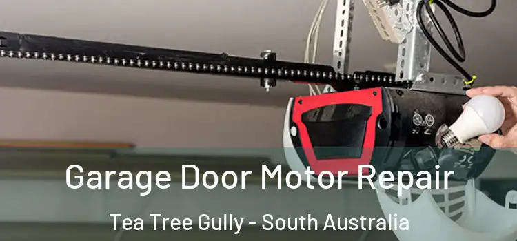 Garage Door Motor Repair Tea Tree Gully - South Australia