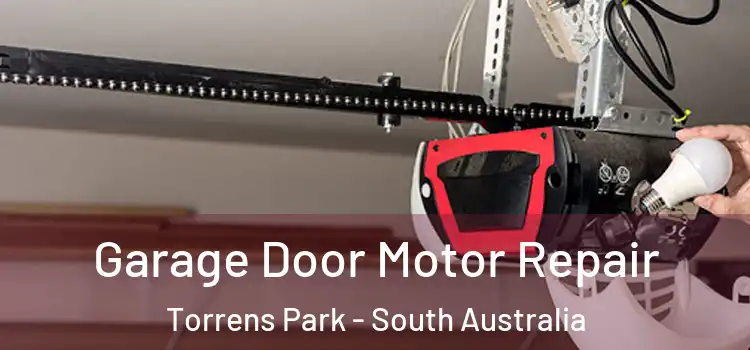 Garage Door Motor Repair Torrens Park - South Australia
