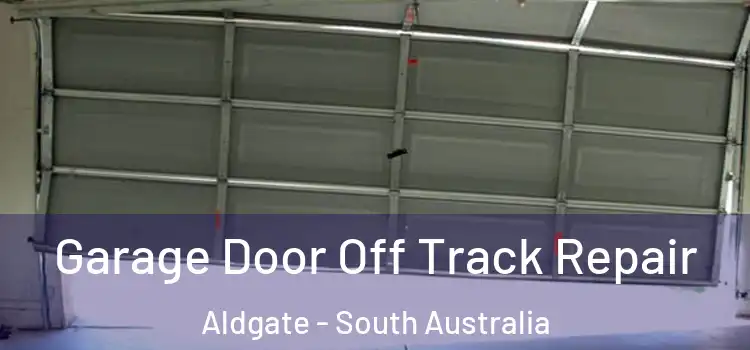 Garage Door Off Track Repair Aldgate - South Australia