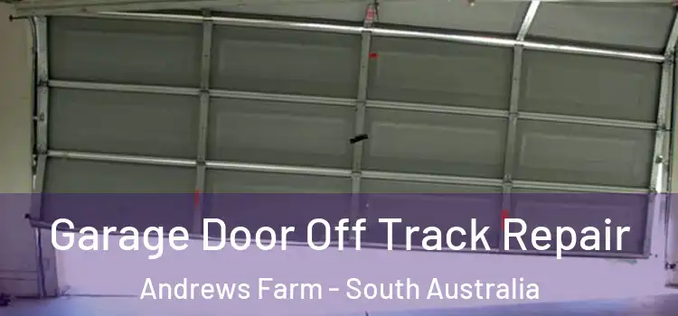 Garage Door Off Track Repair Andrews Farm - South Australia