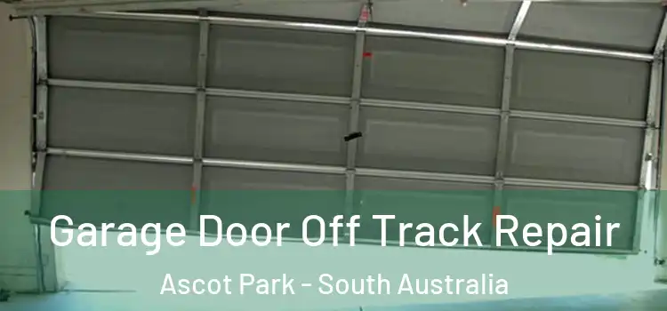 Garage Door Off Track Repair Ascot Park - South Australia