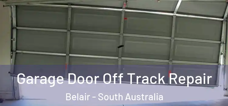 Garage Door Off Track Repair Belair - South Australia