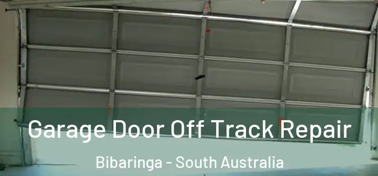 Garage Door Off Track Repair Bibaringa - South Australia