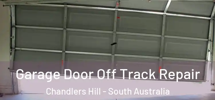 Garage Door Off Track Repair Chandlers Hill - South Australia