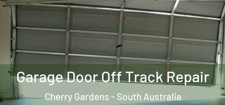Garage Door Off Track Repair Cherry Gardens - South Australia