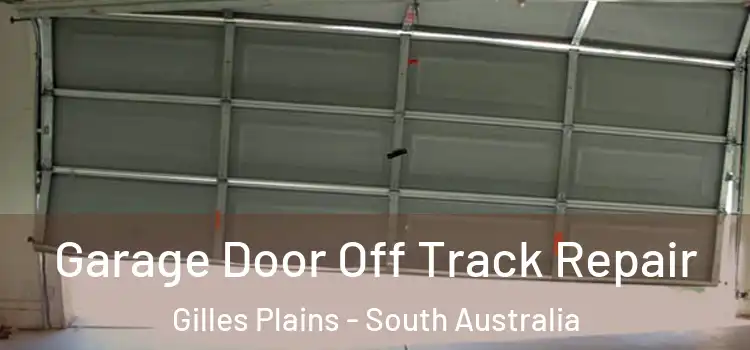 Garage Door Off Track Repair Gilles Plains - South Australia