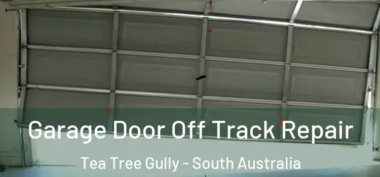 Garage Door Off Track Repair Tea Tree Gully - South Australia