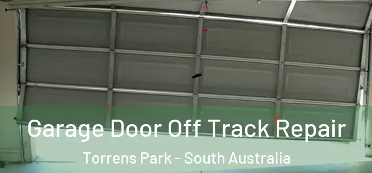 Garage Door Off Track Repair Torrens Park - South Australia