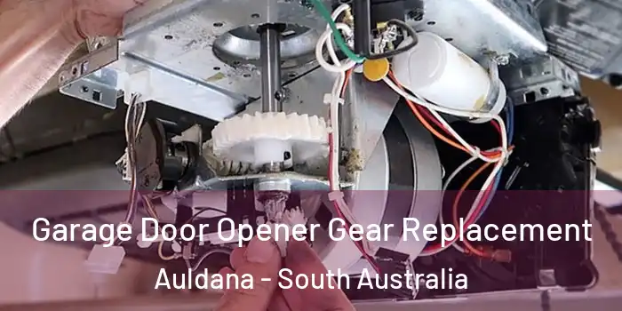 Garage Door Opener Gear Replacement Auldana - South Australia