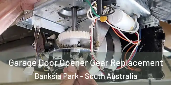 Garage Door Opener Gear Replacement Banksia Park - South Australia