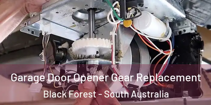 Garage Door Opener Gear Replacement Black Forest - South Australia