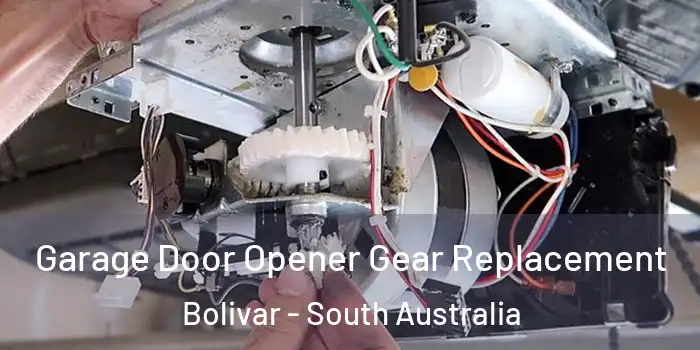 Garage Door Opener Gear Replacement Bolivar - South Australia