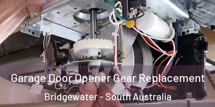 Garage Door Opener Gear Replacement Bridgewater - South Australia