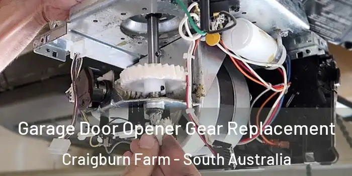 Garage Door Opener Gear Replacement Craigburn Farm - South Australia