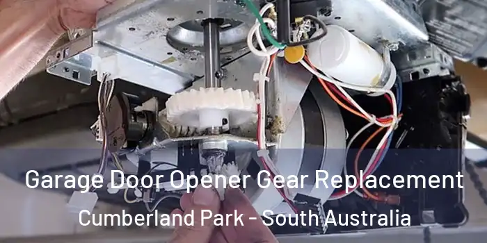 Garage Door Opener Gear Replacement Cumberland Park - South Australia