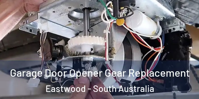 Garage Door Opener Gear Replacement Eastwood - South Australia
