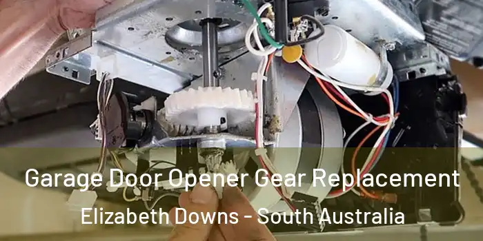 Garage Door Opener Gear Replacement Elizabeth Downs - South Australia