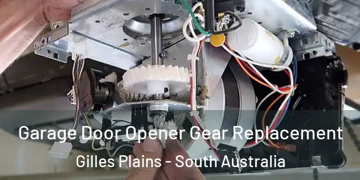 Garage Door Opener Gear Replacement Gilles Plains - South Australia