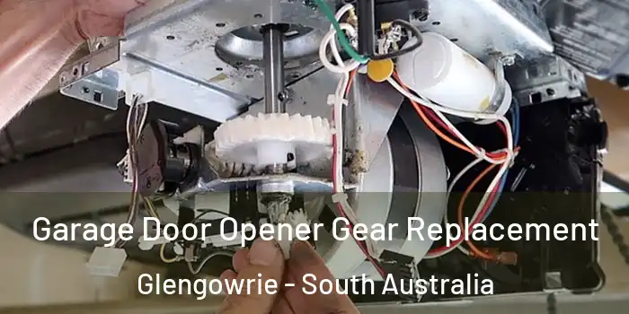 Garage Door Opener Gear Replacement Glengowrie - South Australia