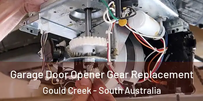 Garage Door Opener Gear Replacement Gould Creek - South Australia