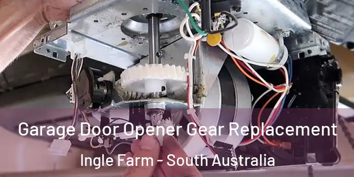 Garage Door Opener Gear Replacement Ingle Farm - South Australia
