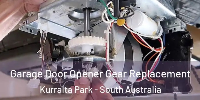 Garage Door Opener Gear Replacement Kurralta Park - South Australia