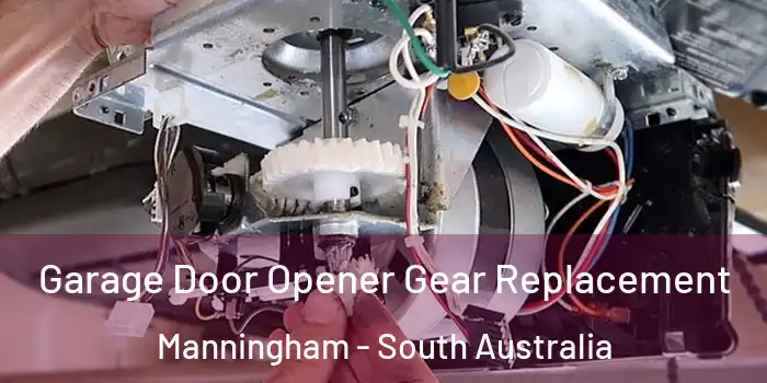 Garage Door Opener Gear Replacement Manningham - South Australia