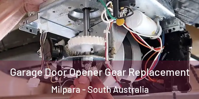 Garage Door Opener Gear Replacement Milpara - South Australia